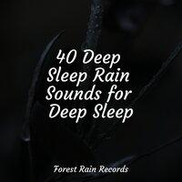 40 Deep Sleep Rain Sounds for Deep Sleep