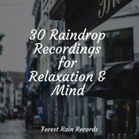 30 Raindrop Recordings for Relaxation & Mind
