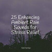 25 Enhancing Ambient Rain Sounds for Stress Relief