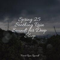 Spring 25 Soothing Rain Sounds for Deep Sleep