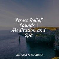 Stress Relief Sounds | Meditation and Spa