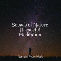 Sounds of Nature | Peaceful Meditation