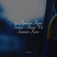 25 Ambient Rain Sounds - Brain Wet Summer Rain