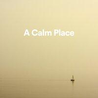 A Calm Place