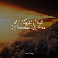25 Light Soft Binaural Waves