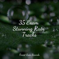 35 Exam Stunning Rain Tracks