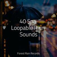 40 Spa Loopable Rain Sounds