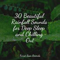 30 Beautiful Rainfall Sounds for Deep Sleep and Chilling Out