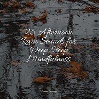 25 Afternoon Rain Sounds for Deep Sleep Mindfulness