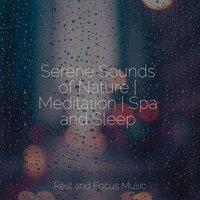 Serene Sounds of Nature | Meditation | Spa and Sleep
