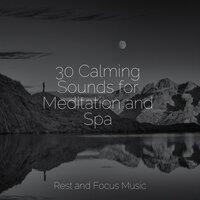 30 Calming Sounds for Meditation and Spa