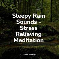 Sleepy Rain Sounds - Stress Relieving Meditation
