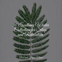 30 Soothing Winter Collection for Sleep and Relaxation