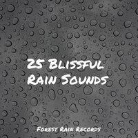 25 Blissful Rain Sounds