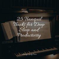 25 Tranquil Tracks for Deep Sleep and Productivity