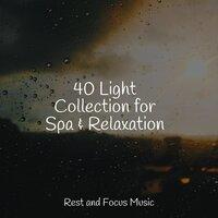 40 Light Collection for Spa & Relaxation