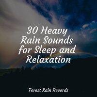 30 Heavy Rain Sounds for Sleep and Relaxation