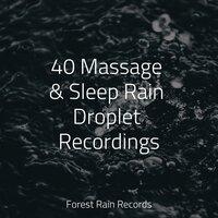 40 Massage & Sleep Rain Droplet Recordings