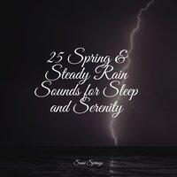 25 Spring & Steady Rain Sounds for Sleep and Serenity