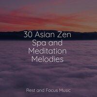 30 Asian Zen Spa and Meditation Melodies