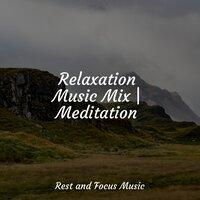 Relaxation Music Mix | Meditation
