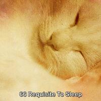 66 Requisite To Sleep