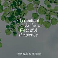 40 Chillout Tracks for a Peaceful Ambience