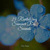 25 Revitalizing Summer Rain Sounds