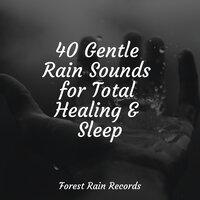 40 Gentle Rain Sounds for Total Healing & Sleep