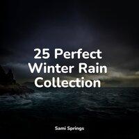 25 Perfect Winter Rain Collection