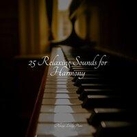 25 Relaxing Sounds for Harmony
