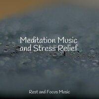 Meditation Music and Stress Relief