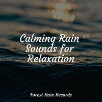Calming Rain Sounds for Relaxation