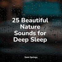 25 Beautiful Nature Sounds for Deep Sleep