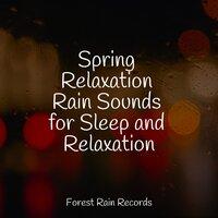 Spring Relaxation Rain Sounds for Sleep and Relaxation