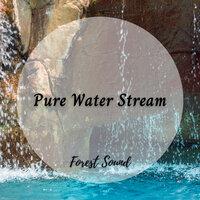 Forest Sound: Pure Water Stream
