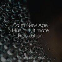 Calm New Age Music | Ultimate Relaxation
