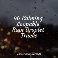 40 Calming Loopable Rain Droplet Tracks