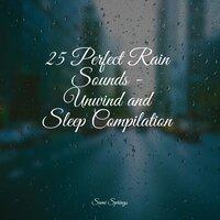 25 Perfect Rain Sounds - Unwind and Sleep Compilation