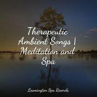 Therapeutic Ambient Songs | Meditation and Spa