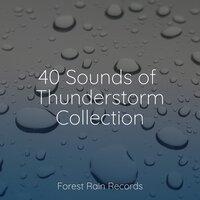 40 Sounds of Thunderstorm Collection
