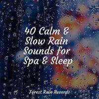 40 Calm & Slow Rain Sounds for Spa & Sleep