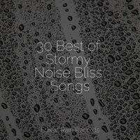 30 Best of Stormy Noise Bliss Songs