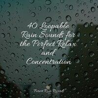40 Loopable Rain Sounds for the Perfect Relax and Concentration