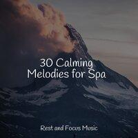30 Calming Melodies for Spa