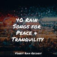 40 Rain Songs for Peace & Tranquility
