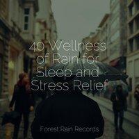 40 Wellness of Rain for Sleep and Stress Relief