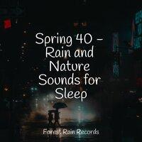 Spring 40 - Rain and Nature Sounds for Sleep