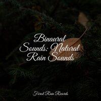 Binaural Sounds: Natural Rain Sounds