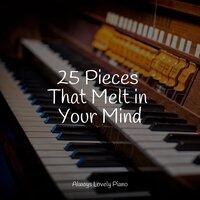 25 Pieces That Melt in Your Mind